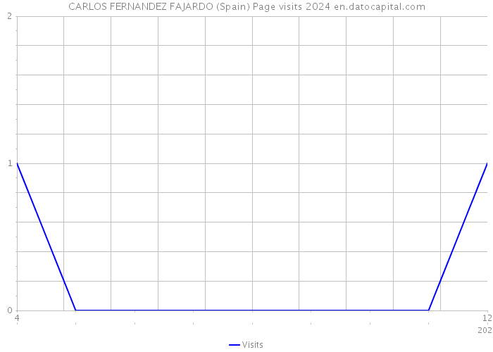 CARLOS FERNANDEZ FAJARDO (Spain) Page visits 2024 