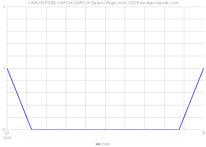 CARLOS FIDEL GARCIA GARCIA (Spain) Page visits 2024 