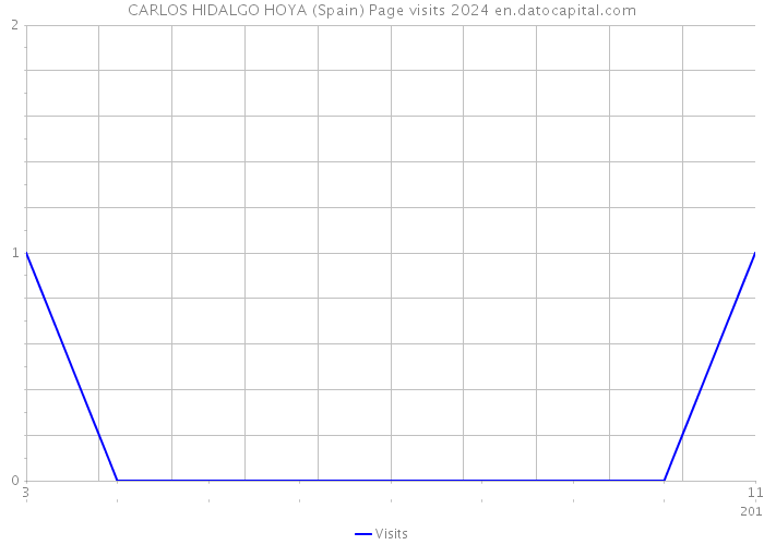 CARLOS HIDALGO HOYA (Spain) Page visits 2024 