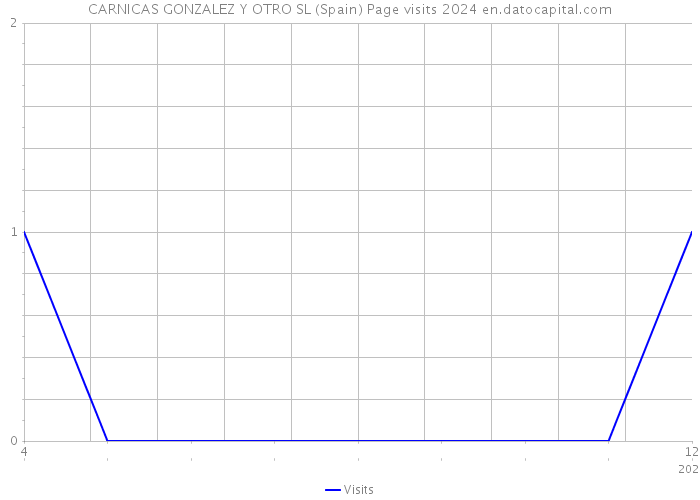 CARNICAS GONZALEZ Y OTRO SL (Spain) Page visits 2024 