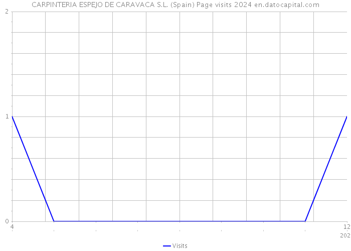 CARPINTERIA ESPEJO DE CARAVACA S.L. (Spain) Page visits 2024 