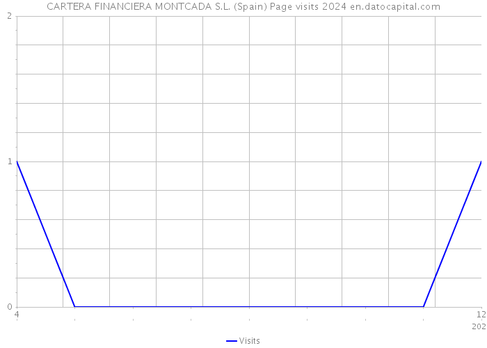 CARTERA FINANCIERA MONTCADA S.L. (Spain) Page visits 2024 