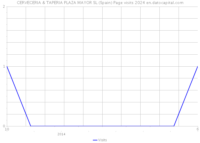 CERVECERIA & TAPERIA PLAZA MAYOR SL (Spain) Page visits 2024 