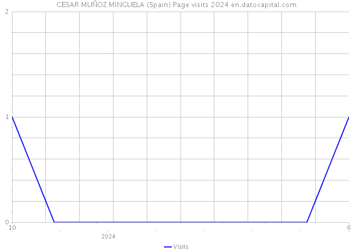 CESAR MUÑOZ MINGUELA (Spain) Page visits 2024 