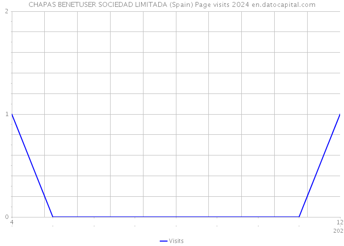 CHAPAS BENETUSER SOCIEDAD LIMITADA (Spain) Page visits 2024 