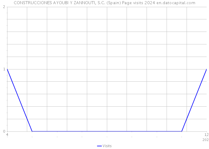 CONSTRUCCIONES AYOUBI Y ZANNOUTI, S.C. (Spain) Page visits 2024 