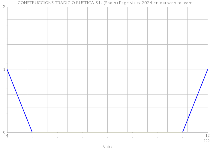 CONSTRUCCIONS TRADICIO RUSTICA S.L. (Spain) Page visits 2024 