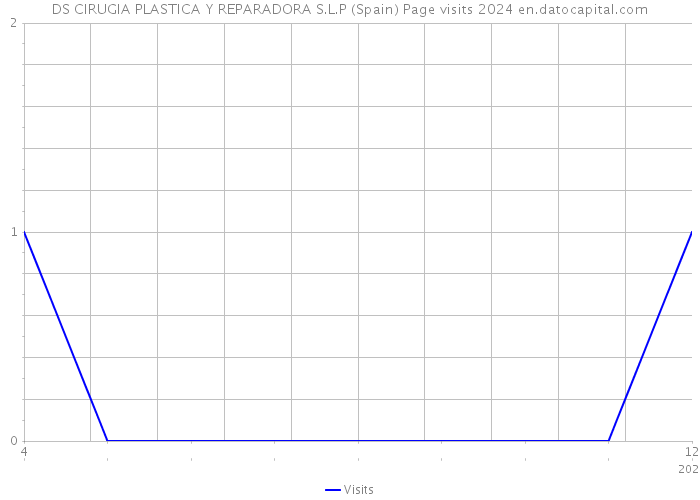 DS CIRUGIA PLASTICA Y REPARADORA S.L.P (Spain) Page visits 2024 