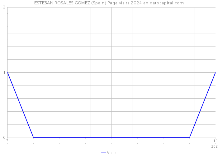 ESTEBAN ROSALES GOMEZ (Spain) Page visits 2024 