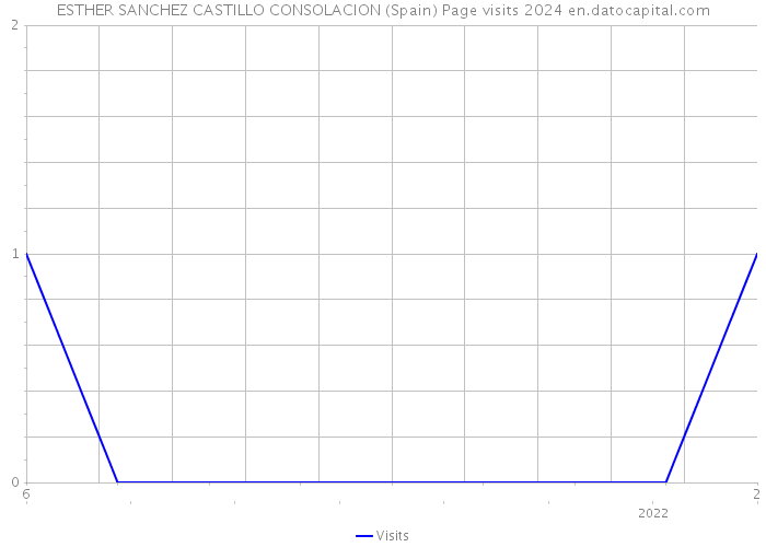 ESTHER SANCHEZ CASTILLO CONSOLACION (Spain) Page visits 2024 