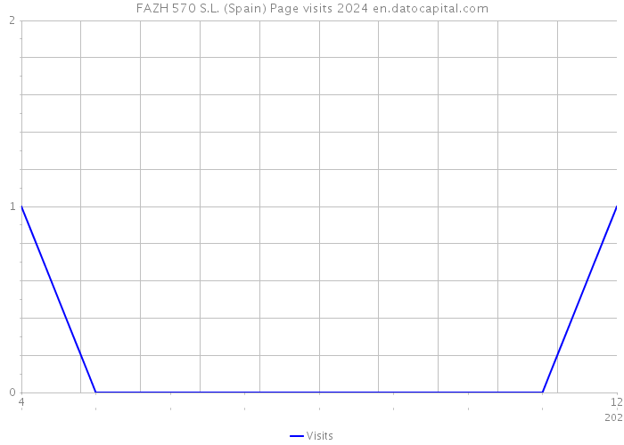 FAZH 570 S.L. (Spain) Page visits 2024 