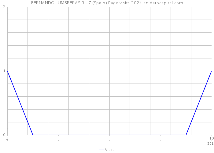 FERNANDO LUMBRERAS RUIZ (Spain) Page visits 2024 