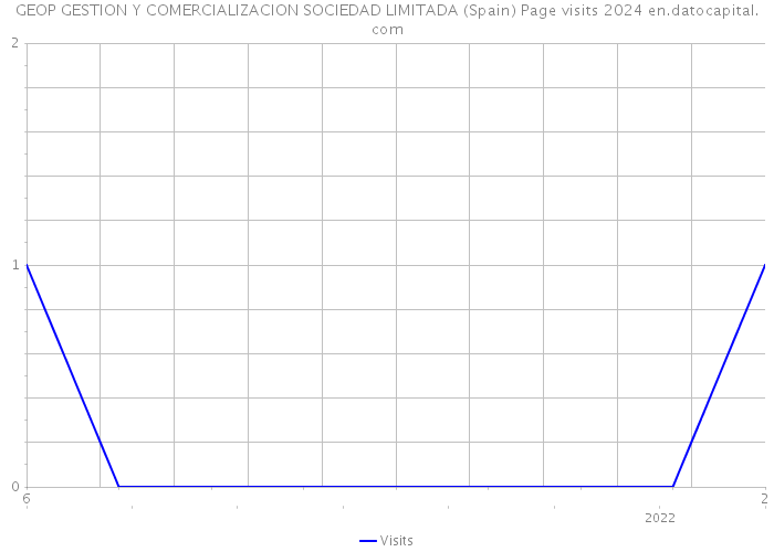GEOP GESTION Y COMERCIALIZACION SOCIEDAD LIMITADA (Spain) Page visits 2024 