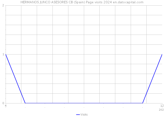 HERMANOS JUNCO ASESORES CB (Spain) Page visits 2024 