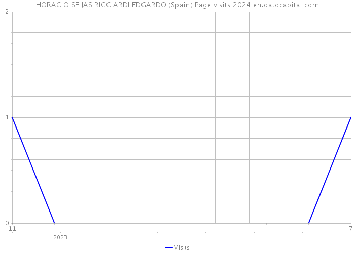 HORACIO SEIJAS RICCIARDI EDGARDO (Spain) Page visits 2024 