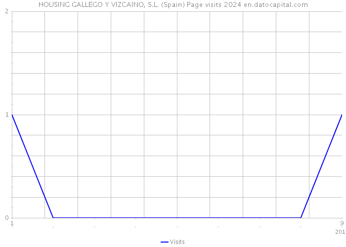 HOUSING GALLEGO Y VIZCAINO, S.L. (Spain) Page visits 2024 