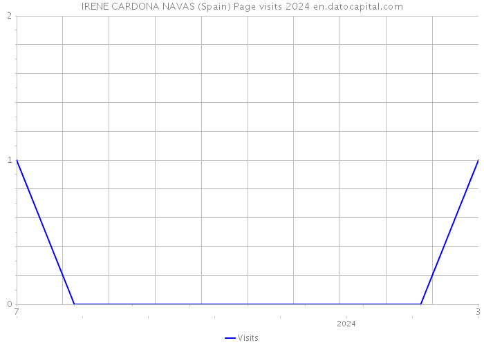 IRENE CARDONA NAVAS (Spain) Page visits 2024 