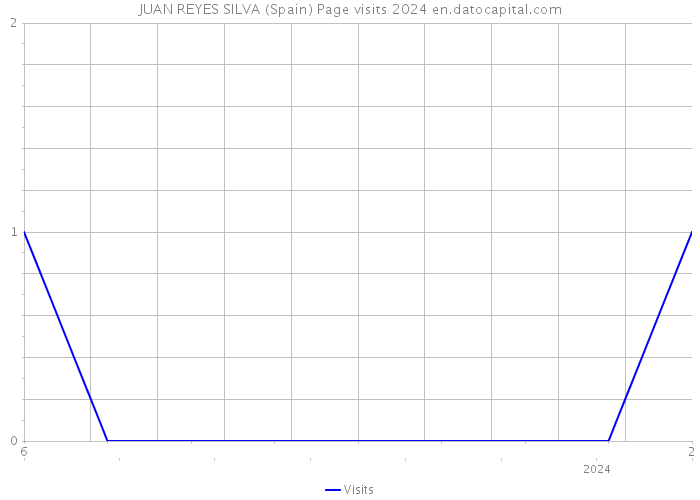 JUAN REYES SILVA (Spain) Page visits 2024 