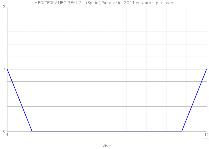 MEDITERRANEO REAL SL. (Spain) Page visits 2024 