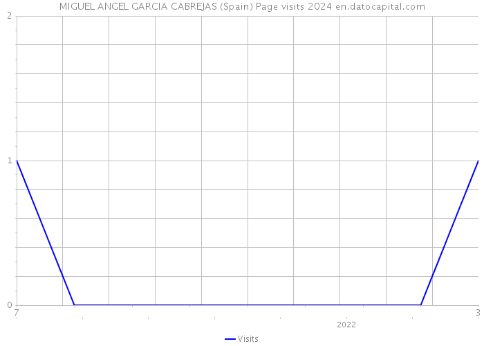MIGUEL ANGEL GARCIA CABREJAS (Spain) Page visits 2024 
