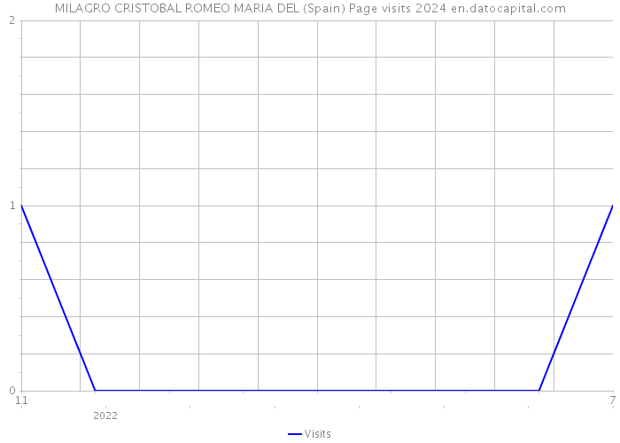 MILAGRO CRISTOBAL ROMEO MARIA DEL (Spain) Page visits 2024 