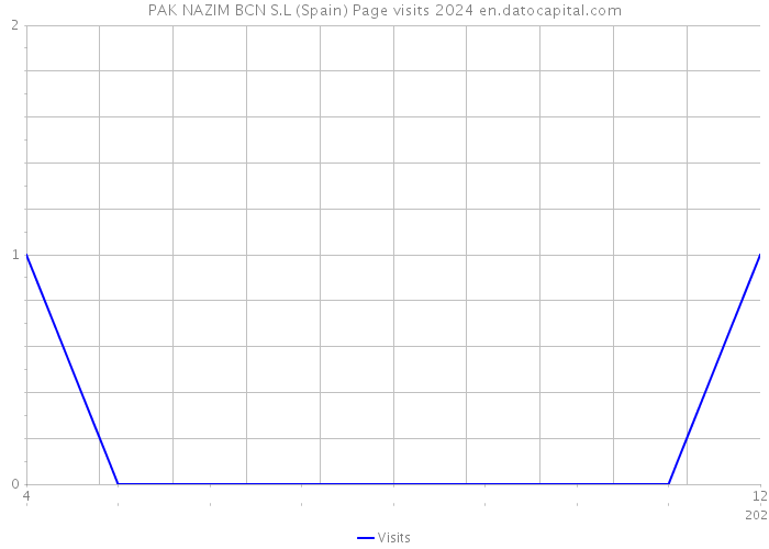 PAK NAZIM BCN S.L (Spain) Page visits 2024 