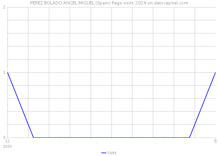 PEREZ BOLADO ANGEL MIGUEL (Spain) Page visits 2024 