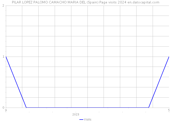 PILAR LOPEZ PALOMO CAMACHO MARIA DEL (Spain) Page visits 2024 