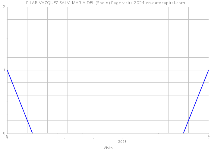 PILAR VAZQUEZ SALVI MARIA DEL (Spain) Page visits 2024 