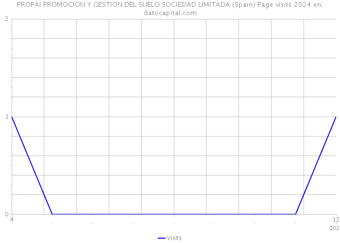 PROPAI PROMOCION Y GESTION DEL SUELO SOCIEDAD LIMITADA (Spain) Page visits 2024 