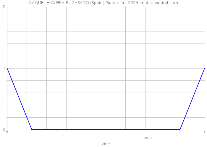 RAQUEL HIGUERA RUCABADO (Spain) Page visits 2024 