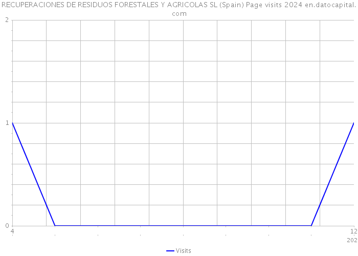 RECUPERACIONES DE RESIDUOS FORESTALES Y AGRICOLAS SL (Spain) Page visits 2024 