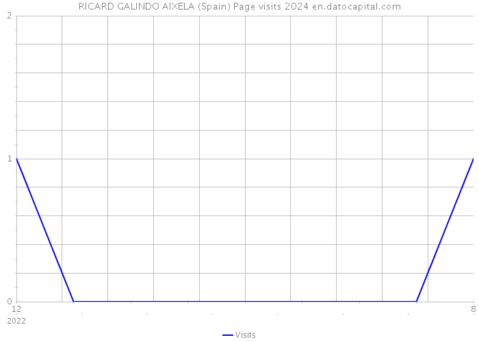 RICARD GALINDO AIXELA (Spain) Page visits 2024 