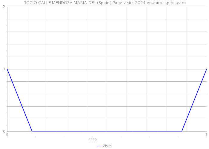 ROCIO CALLE MENDOZA MARIA DEL (Spain) Page visits 2024 