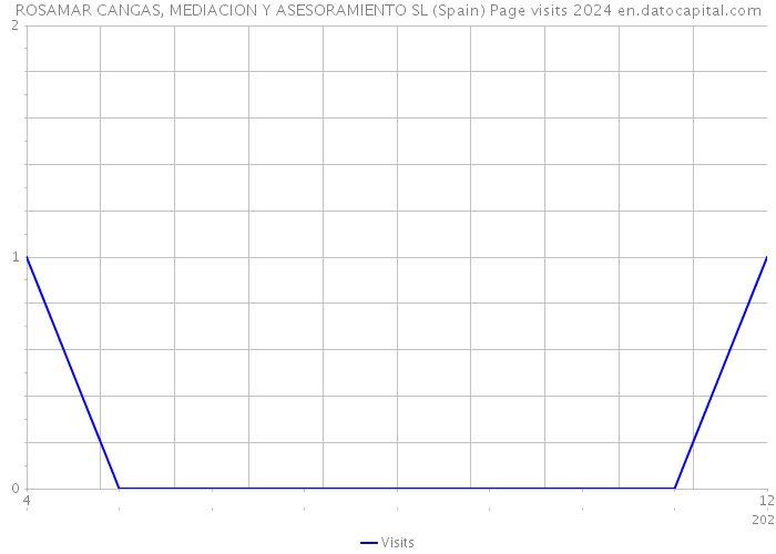 ROSAMAR CANGAS, MEDIACION Y ASESORAMIENTO SL (Spain) Page visits 2024 