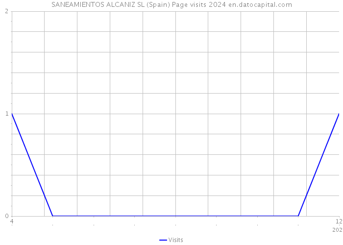 SANEAMIENTOS ALCANIZ SL (Spain) Page visits 2024 