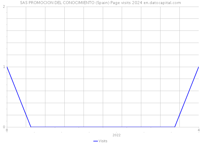SAS PROMOCION DEL CONOCIMIENTO (Spain) Page visits 2024 