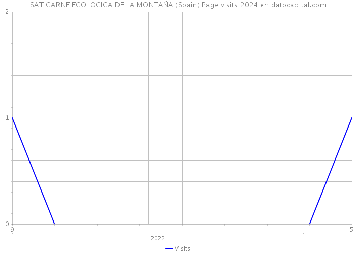 SAT CARNE ECOLOGICA DE LA MONTAÑA (Spain) Page visits 2024 