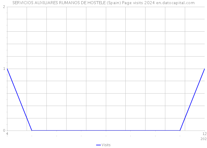 SERVICIOS AUXILIARES RUMANOS DE HOSTELE (Spain) Page visits 2024 