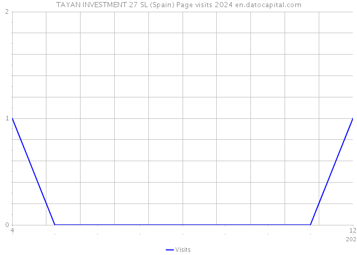 TAYAN INVESTMENT 27 SL (Spain) Page visits 2024 