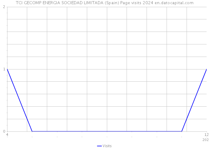 TCI GECOMP ENERGIA SOCIEDAD LIMITADA (Spain) Page visits 2024 