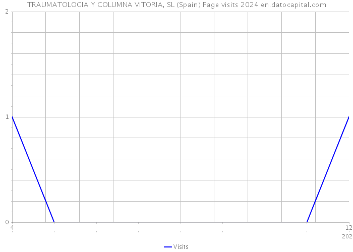 TRAUMATOLOGIA Y COLUMNA VITORIA, SL (Spain) Page visits 2024 