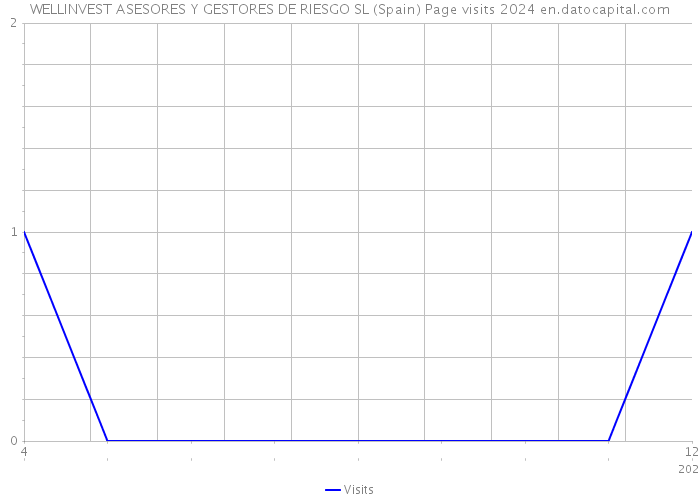 WELLINVEST ASESORES Y GESTORES DE RIESGO SL (Spain) Page visits 2024 