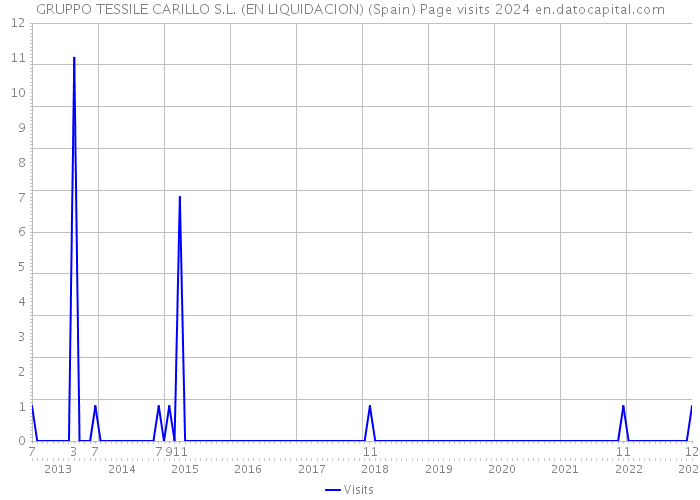 GRUPPO TESSILE CARILLO S.L. (EN LIQUIDACION) (Spain) Page visits 2024 