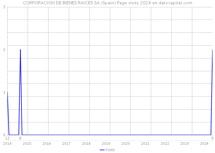 CORPORACION DE BIENES RAICES SA (Spain) Page visits 2024 