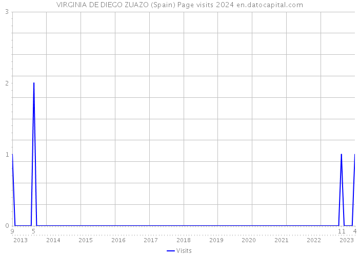 VIRGINIA DE DIEGO ZUAZO (Spain) Page visits 2024 