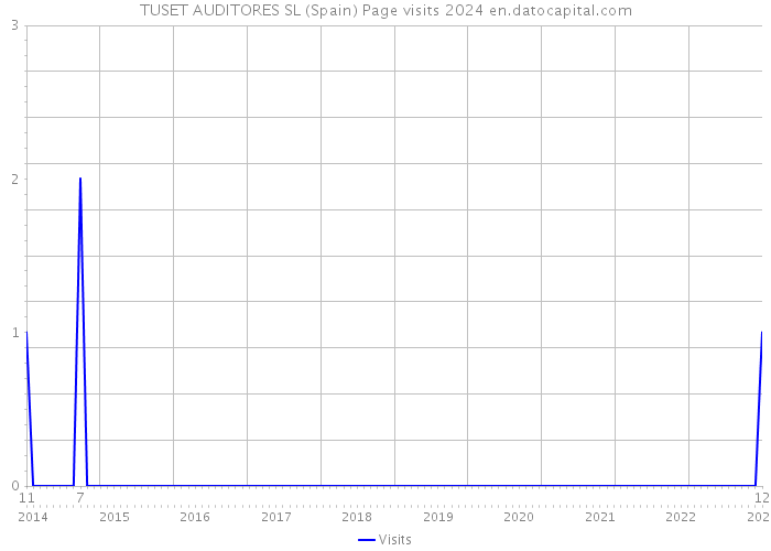 TUSET AUDITORES SL (Spain) Page visits 2024 