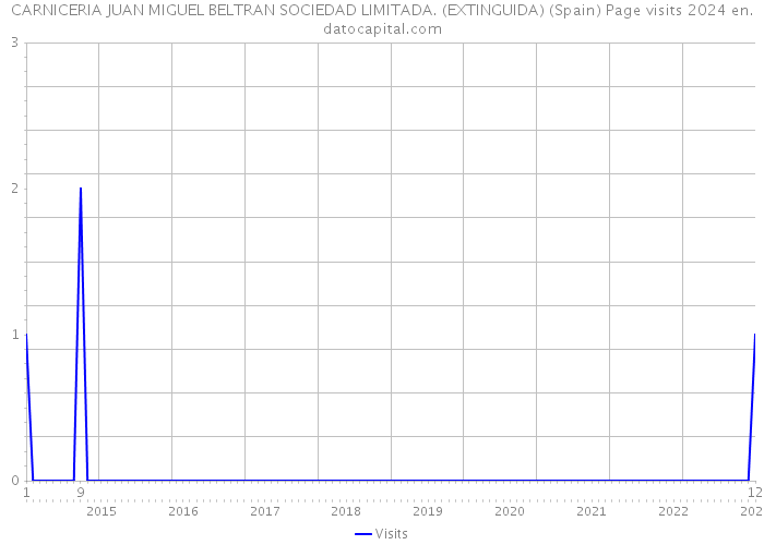 CARNICERIA JUAN MIGUEL BELTRAN SOCIEDAD LIMITADA. (EXTINGUIDA) (Spain) Page visits 2024 