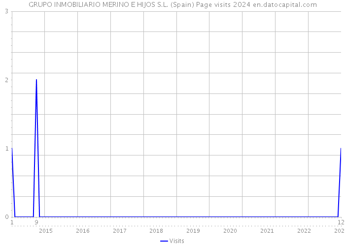 GRUPO INMOBILIARIO MERINO E HIJOS S.L. (Spain) Page visits 2024 