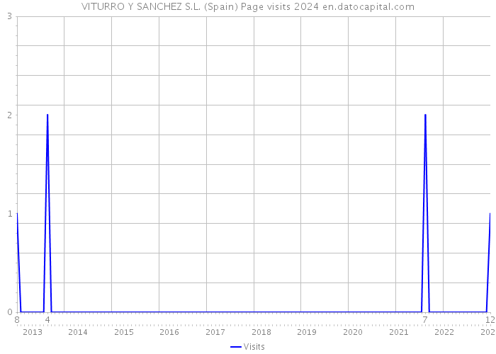 VITURRO Y SANCHEZ S.L. (Spain) Page visits 2024 